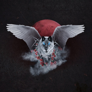 美女高清黄色片
