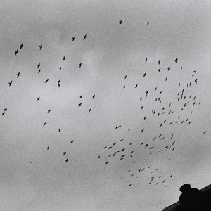 美女高清黄色片
